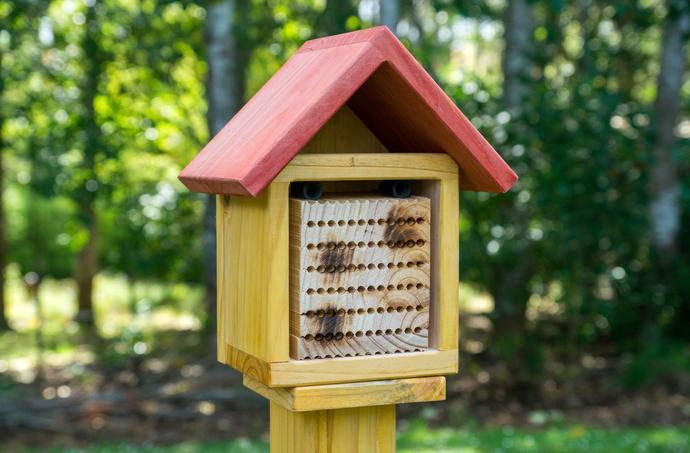 Leafcutter Bee House - Creative Woodcraft New Zealand