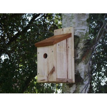 Bird Nesting Box