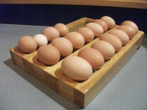 Egg  Organiser Roller 