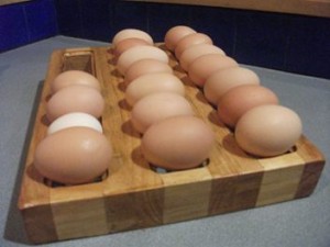 Egg  Organiser Roller 11