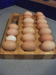 Egg  Organiser Roller 12