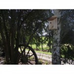 Bird Nesting Box 2-500x500