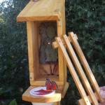 Buterfly Shelter Feeder 7 150x150 Wild Pollinators Crucial   Increase Pollination in your Garden!
