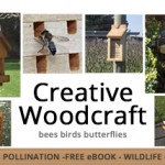 Banner Creative Woodcraft