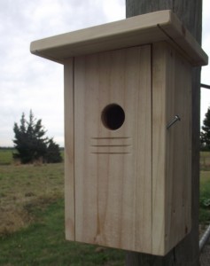 Bird Nest Box Main Image