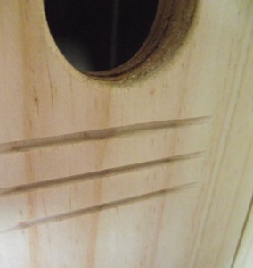 Close up Entry Holes and Grooves