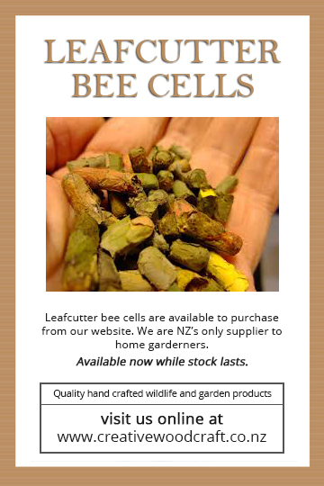 Leafcutter Bee Cells Flyer x50