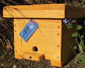 BumbleBee NestingBox1