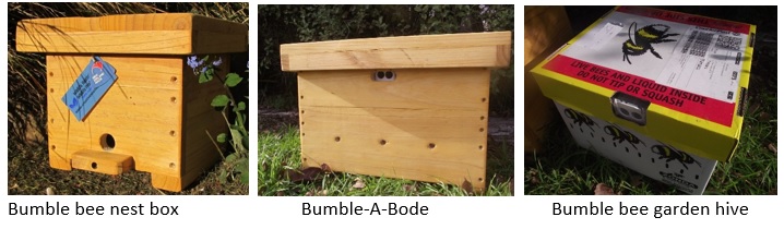 Bee products slide