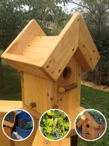Creative Woodcraft Living Roof Bird House