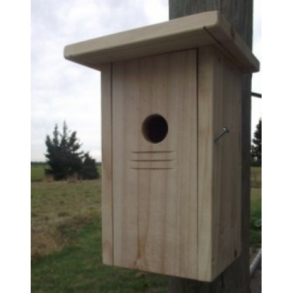 Sparrow Nesting Box
