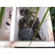 Hedgehog Boxes and Feeders